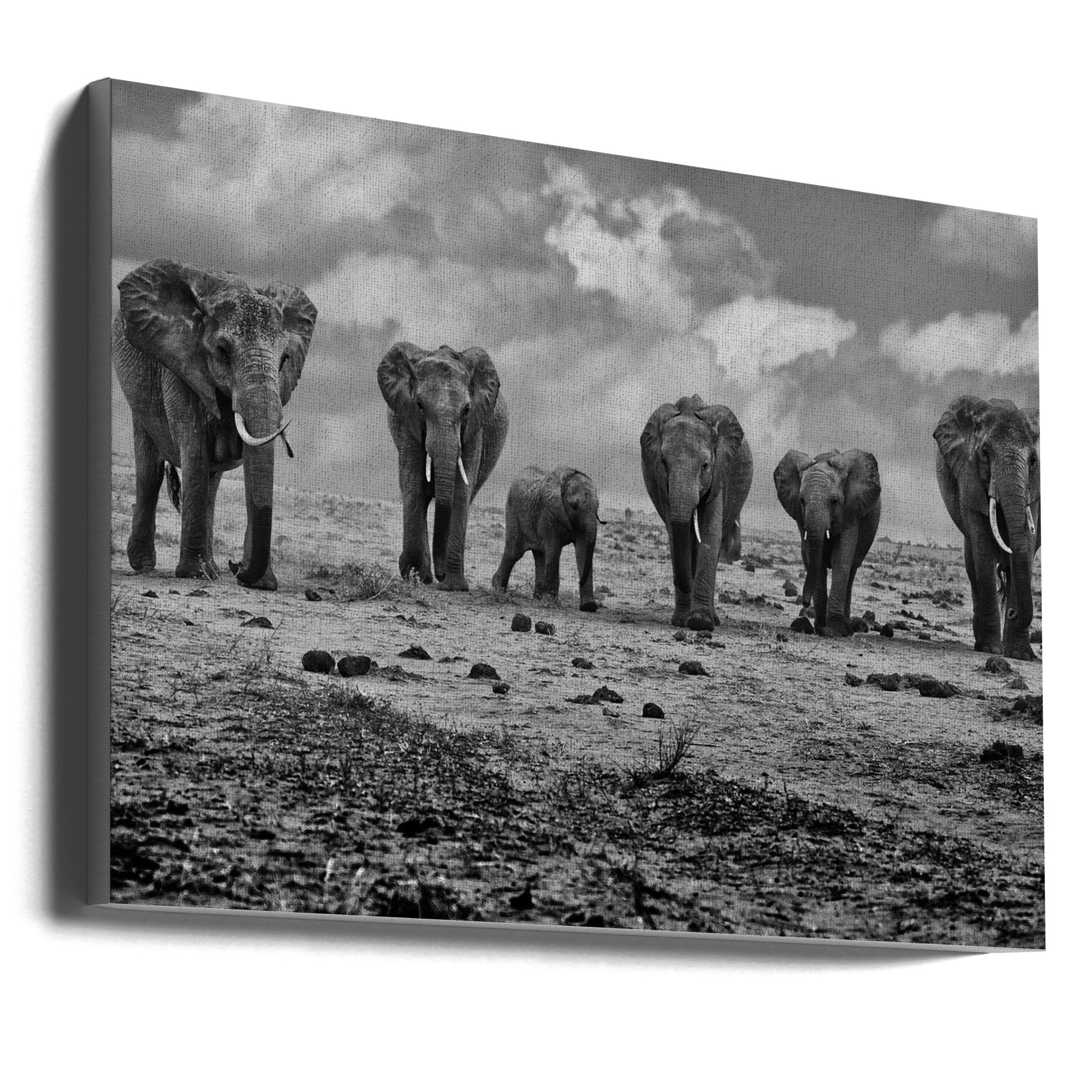 Wall art Big Family. Elephants
