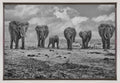 Wall art Big Family. Elephants