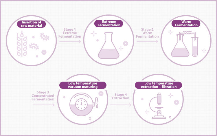 MISSHA Time Revolution Night Ampoule Cream 5X 50ml